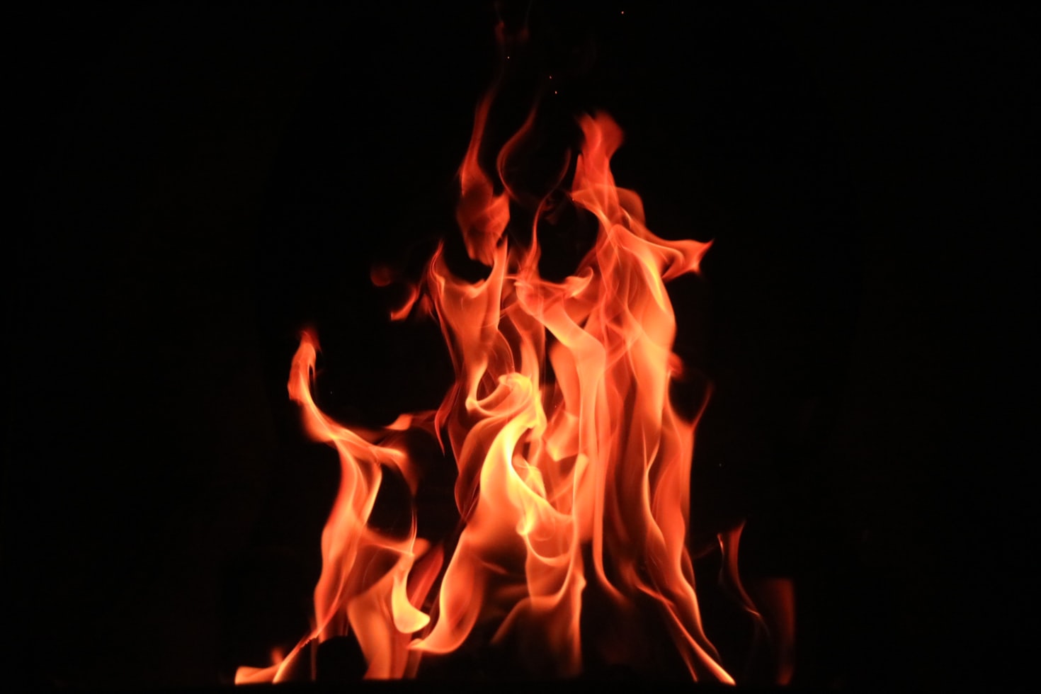 The Burning Bush